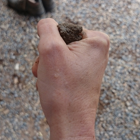 squeeze test mortar mix